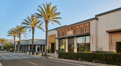 Rolex and The 1916 Company luxury watch boutiques exterior storefront with palm trees at dusk